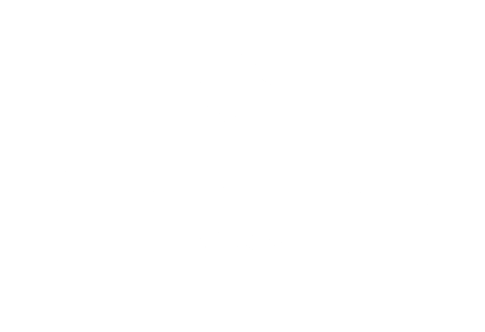 Showtime Bistro logo